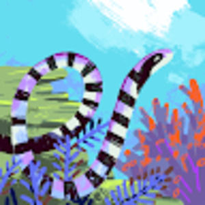 Meet your Posher, Kristin